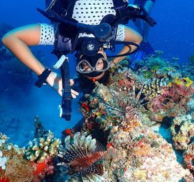 Dive Packages